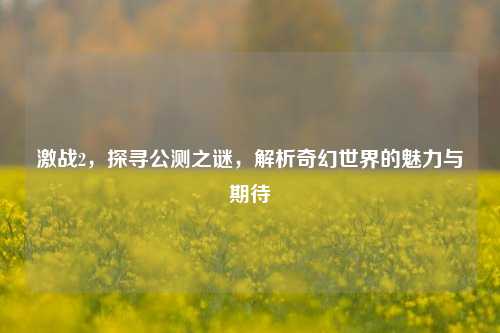 激战2，探寻公测之谜，解析奇幻世界的魅力与期待