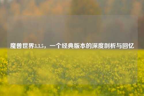 魔兽世界3.3.5，一个经典版本的深度剖析与回忆