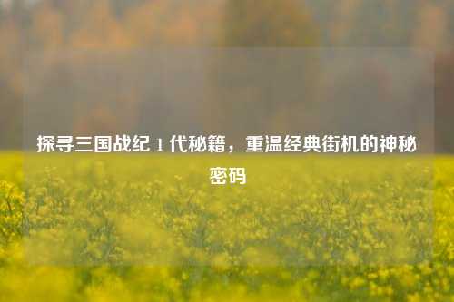 探寻三国战纪 1 代秘籍，重温经典街机的神秘密码