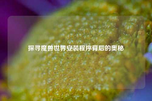 探寻魔兽世界安装程序背后的奥秘