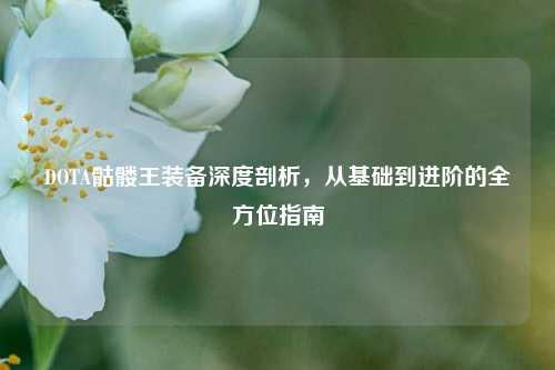 DOTA骷髅王装备深度剖析，从基础到进阶的全方位指南
