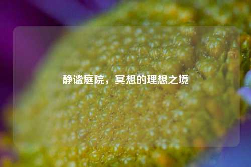 静谧庭院，冥想的理想之境