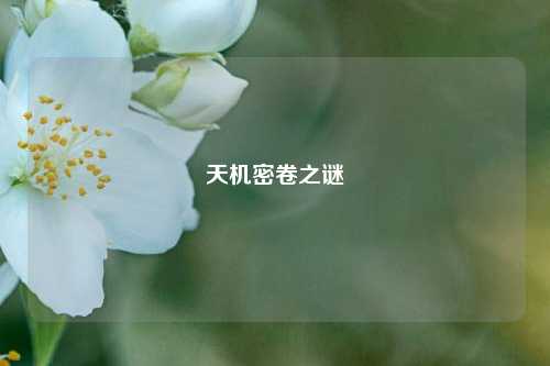 天机密卷之谜