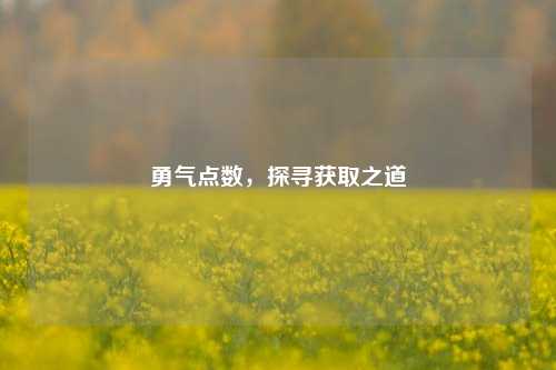 勇气点数，探寻获取之道