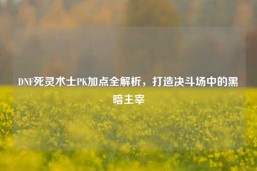 DNF死灵术士PK加点全解析，打造决斗场中的黑暗主宰