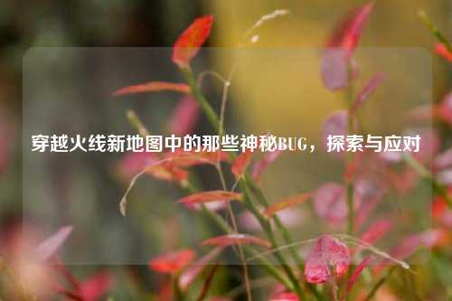 穿越火线新地图中的那些神秘BUG，探索与应对