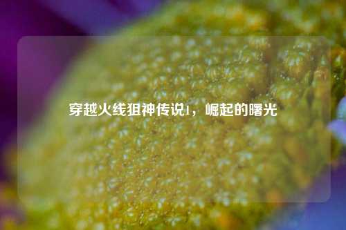穿越火线狙神传说1，崛起的曙光