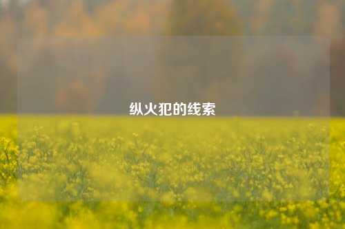 纵火犯的线索