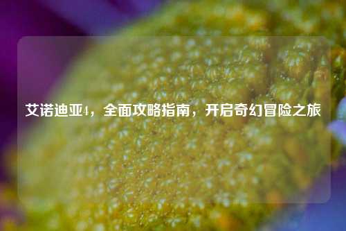艾诺迪亚4，全面攻略指南，开启奇幻冒险之旅