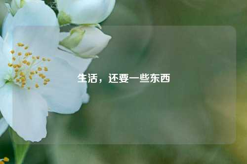 生活，还要一些东西