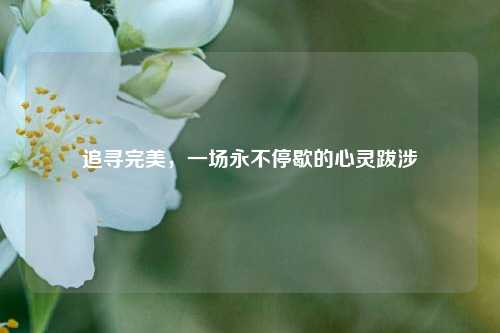 追寻完美，一场永不停歇的心灵跋涉