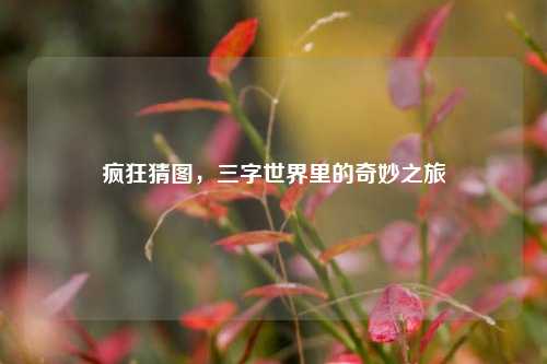 疯狂猜图，三字世界里的奇妙之旅