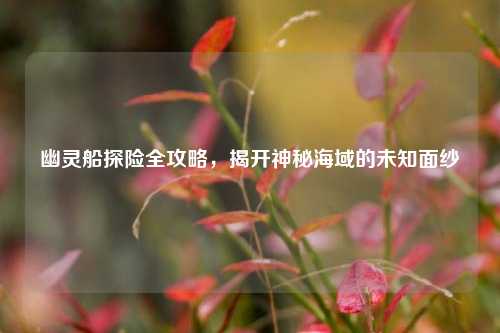 幽灵船探险全攻略，揭开神秘海域的未知面纱