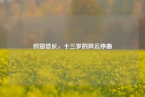 织田信长，十三岁的风云序曲