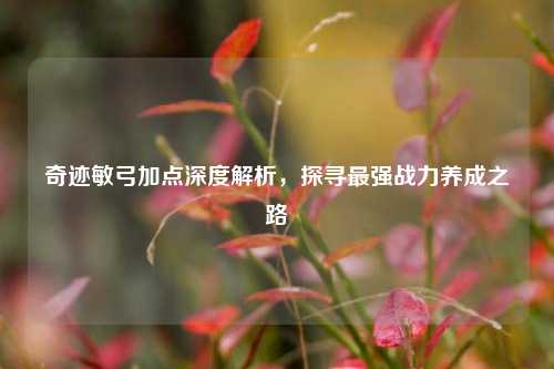 奇迹敏弓加点深度解析，探寻最强战力养成之路