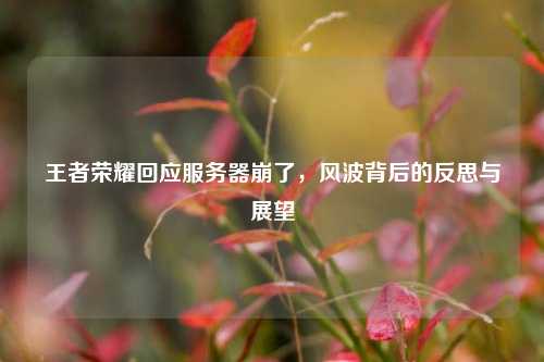 王者荣耀回应服务器崩了，风波背后的反思与展望