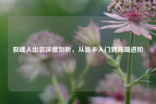 裂魂人出装深度剖析，从新手入门到高端进阶
