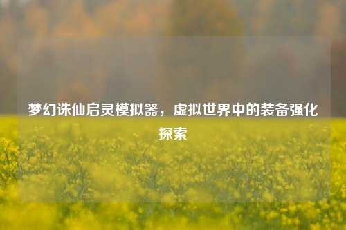 梦幻诛仙启灵模拟器，虚拟世界中的装备强化探索