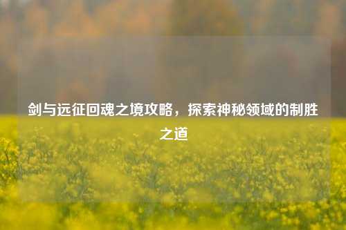 剑与远征回魂之境攻略，探索神秘领域的制胜之道
