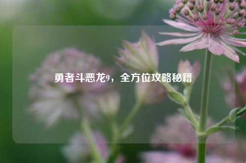 勇者斗恶龙9，全方位攻略秘籍