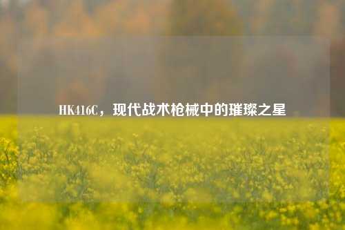 HK416C，现代战术枪械中的璀璨之星