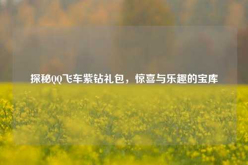 探秘QQ飞车紫钻礼包，惊喜与乐趣的宝库