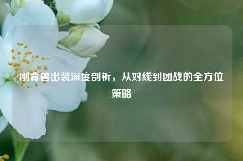 刚背兽出装深度剖析，从对线到团战的全方位策略