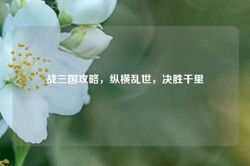 战三国攻略，纵横乱世，决胜千里
