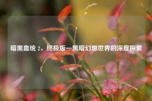 暗黑血统 2，终极版—黑暗幻想世界的深度探索