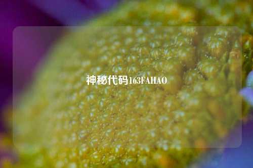 神秘代码163FAHAO