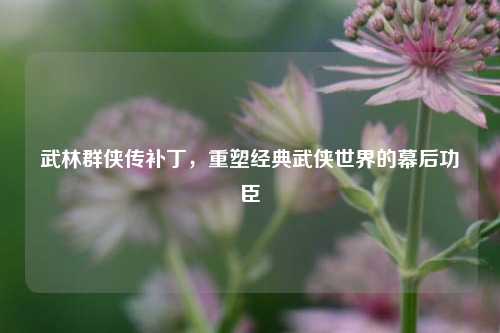 武林群侠传补丁，重塑经典武侠世界的幕后功臣