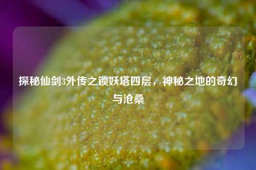 探秘仙剑3外传之锁妖塔四层，神秘之地的奇幻与沧桑