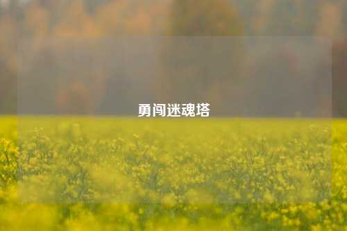 勇闯迷魂塔