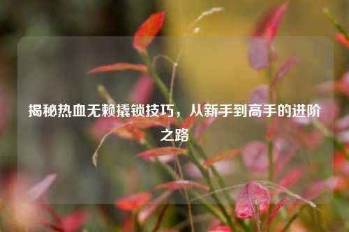 揭秘热血无赖撬锁技巧，从新手到高手的进阶之路