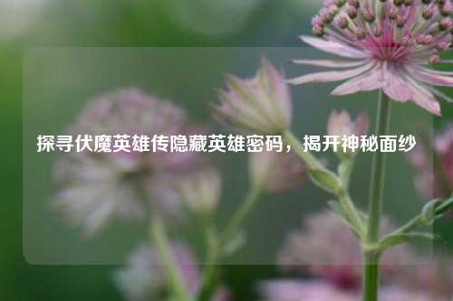 探寻伏魔英雄传隐藏英雄密码，揭开神秘面纱