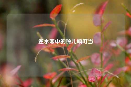 逆水寒中的铃儿响叮当