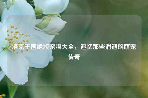 洛克王国绝版宠物大全，追忆那些消逝的萌宠传奇