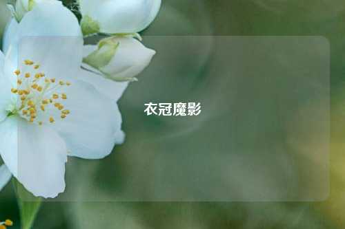 衣冠魔影