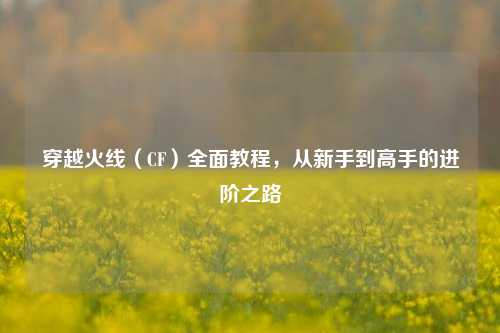 穿越火线（CF）全面教程，从新手到高手的进阶之路