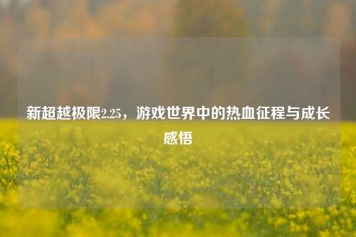 新超越极限2.25，游戏世界中的热血征程与成长感悟