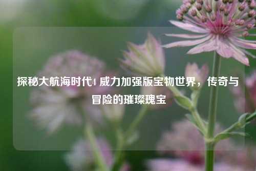 探秘大航海时代4 威力加强版宝物世界，传奇与冒险的璀璨瑰宝