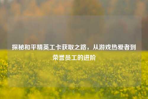探秘和平精英工卡获取之路，从游戏热爱者到荣誉员工的进阶