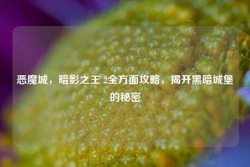恶魔城，暗影之王 2全方面攻略，揭开黑暗城堡的秘密