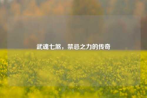 武魂七煞，禁忌之力的传奇