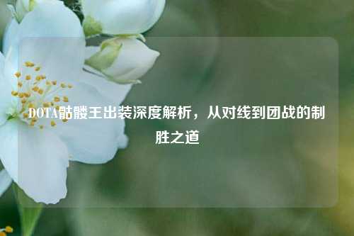 DOTA骷髅王出装深度解析，从对线到团战的制胜之道
