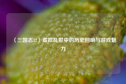 〈三国志12〉虚拟乱世中的历史回响与游戏魅力