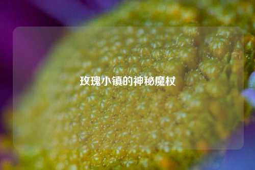 玫瑰小镇的神秘魔杖