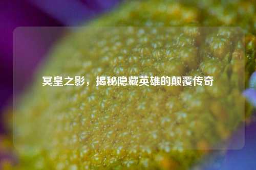 冥皇之影，揭秘隐藏英雄的颠覆传奇
