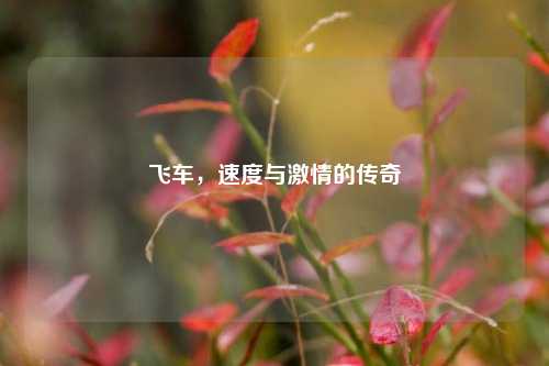 飞车，速度与激情的传奇