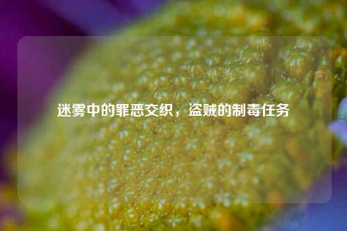 迷雾中的罪恶交织，盗贼的制毒任务